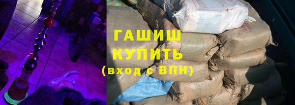 шишки Арсеньев