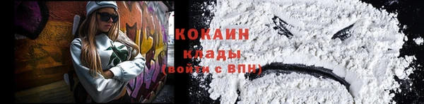 шишки Арсеньев
