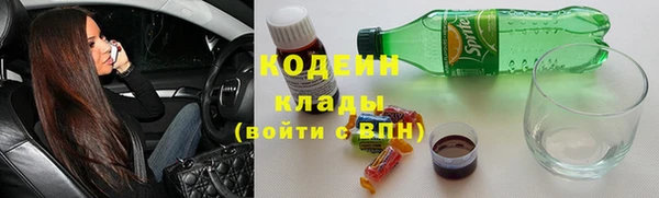 хмурый Аркадак
