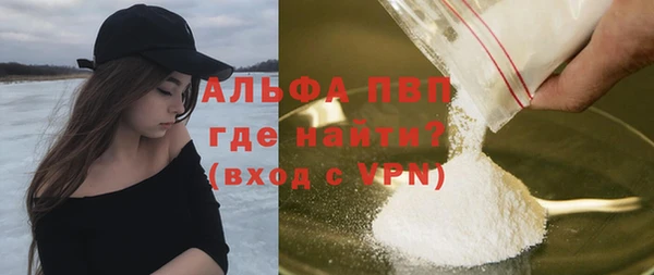 шишки Арсеньев