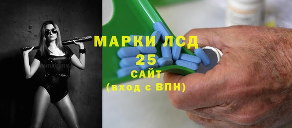 хмурый Аркадак