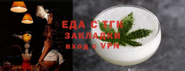 хмурый Аркадак