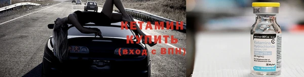 шишки Арсеньев