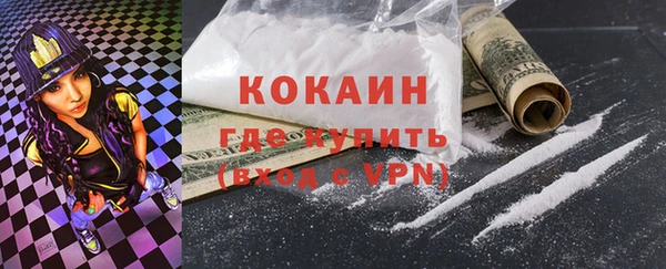 шишки Арсеньев