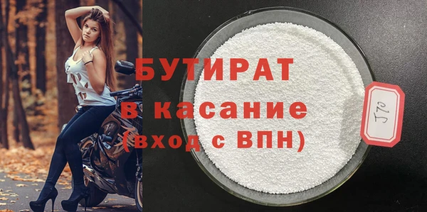 хмурый Аркадак