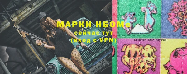 шишки Арсеньев