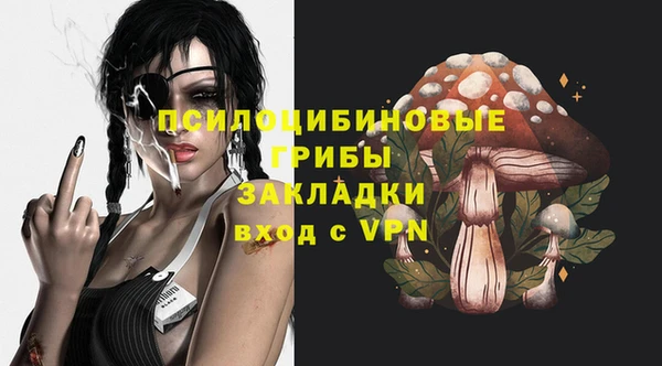 первитин Армянск
