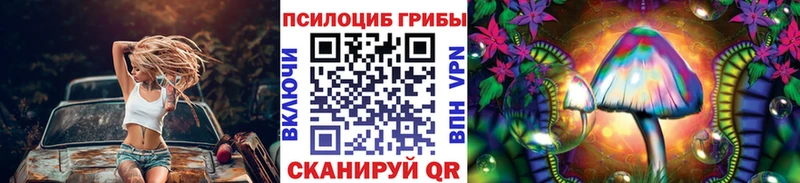 Галлюциногенные грибы мицелий  blacksprut сайт  Светлоград  дарнет шоп 